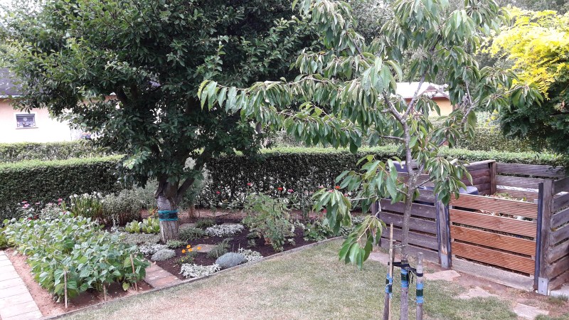 Index [www.kleingarten-dresden-zschertnitz.de]